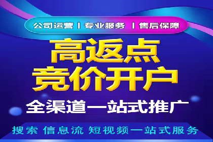 百度推广技巧分享：成功案例解析
